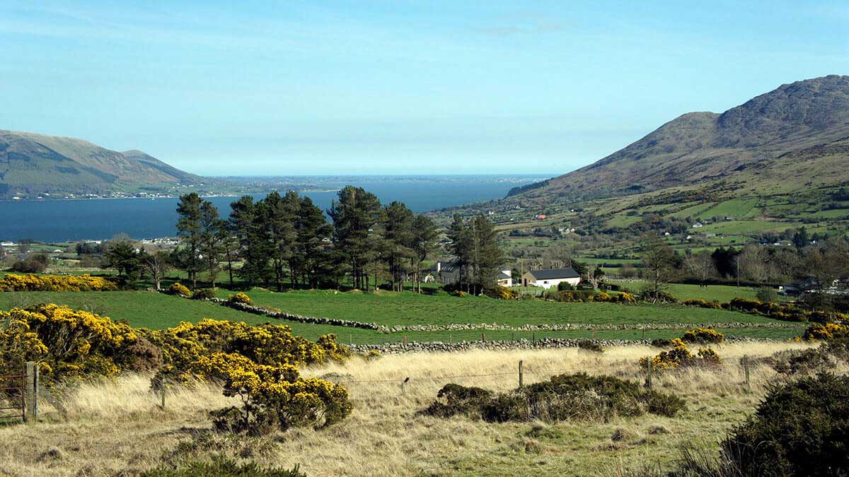 Cooley Peninsula, Co. Louth