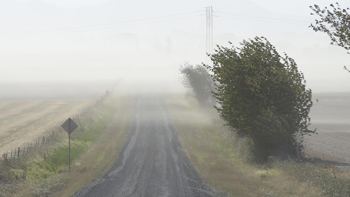 Driving in high winds – pic of very strong winds bending a tree sideways