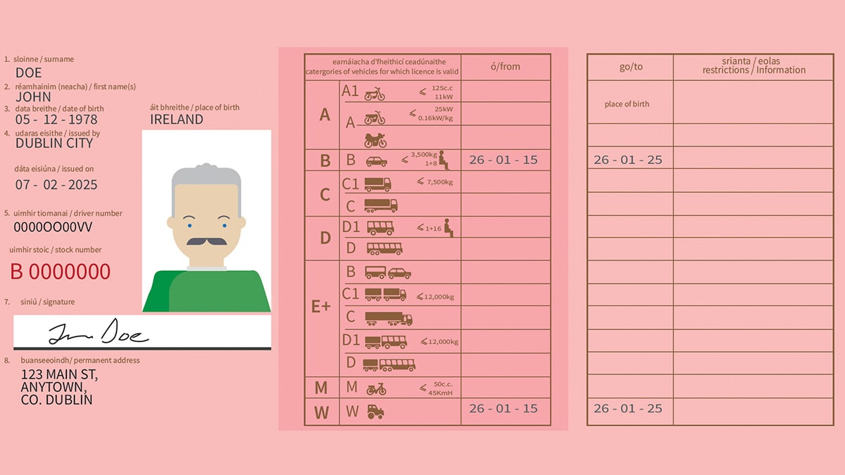 irish-driving-licence-template-powerupaurora