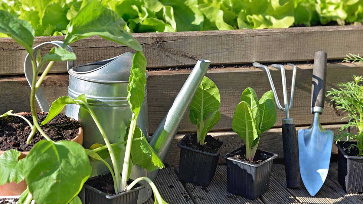 Woman relaxing in garden after some garden work