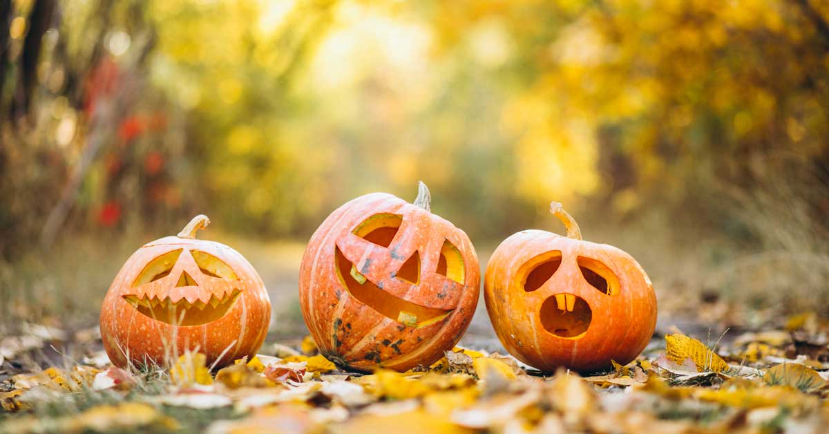 3 orange pumpkins carved for Halloween – Aviva Ireland