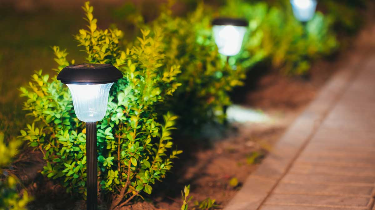 LED lights in garden